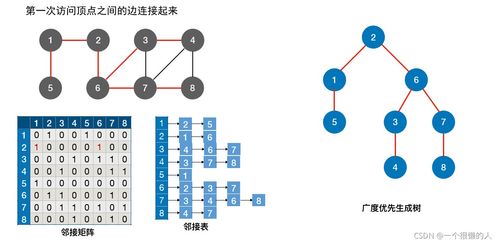 圖的遍歷算法 深度優(yōu)先搜索與廣度優(yōu)先搜索及其存儲支持服務詳解